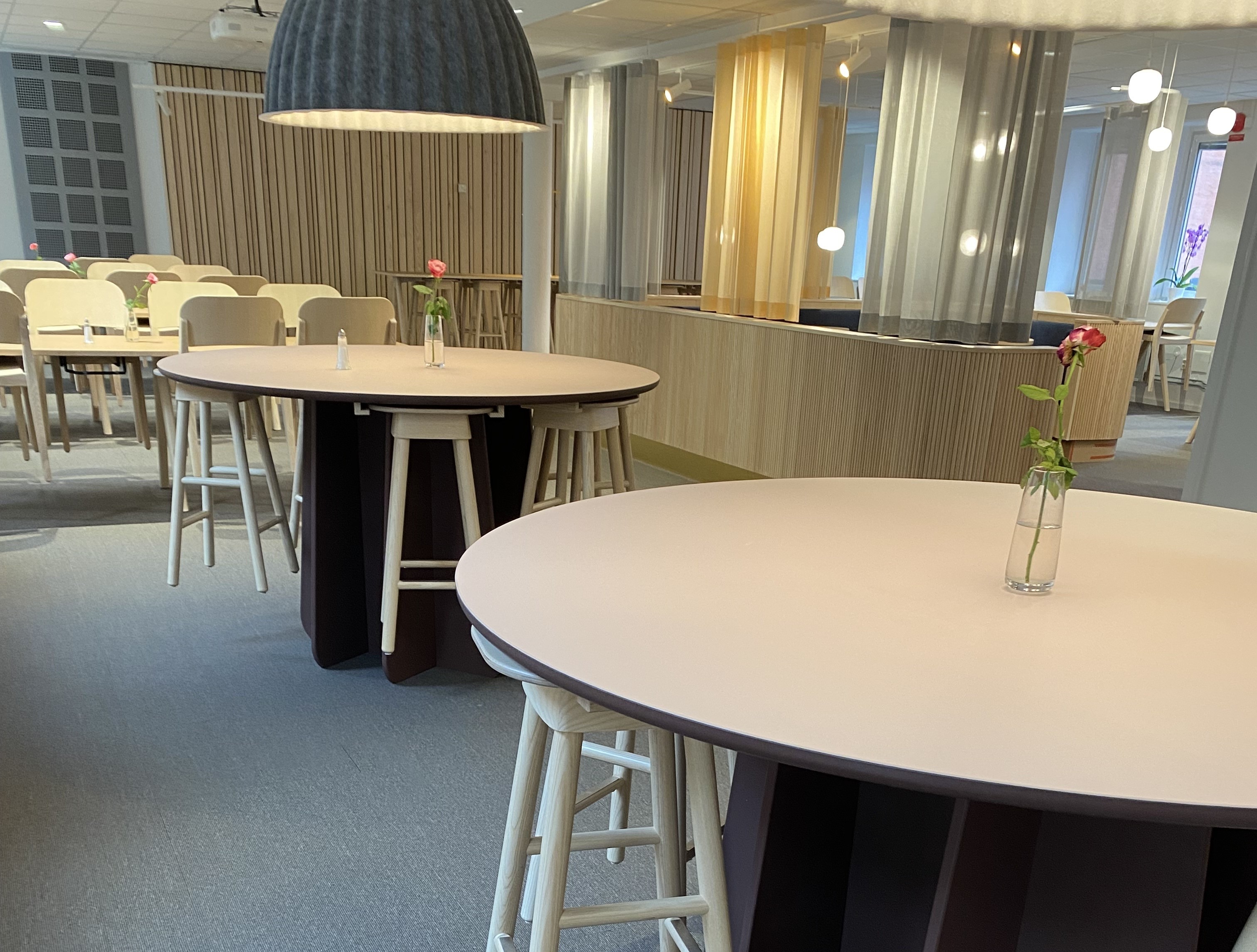 Kategoribild för familias