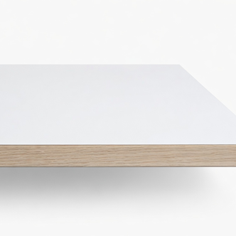 grok-image-f813e92a-21e1-48e1-98bf-4f0714b4bdda