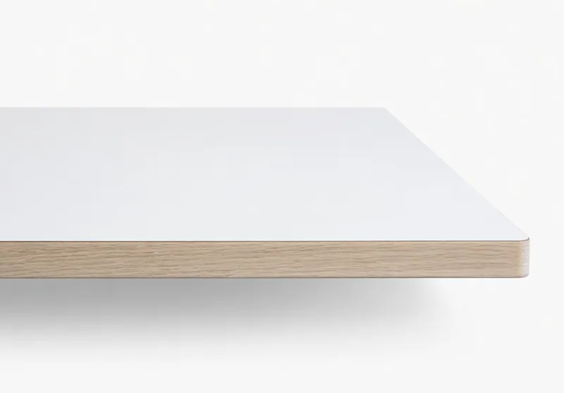 grok-image-f813e92a-21e1-48e1-98bf-4f0714b4bdda