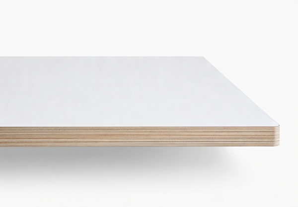 grok-image-71b84fe1-5d2a-459d-8409-f42cae9f3cb8