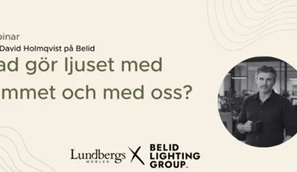 Webbinaruin- belid 2