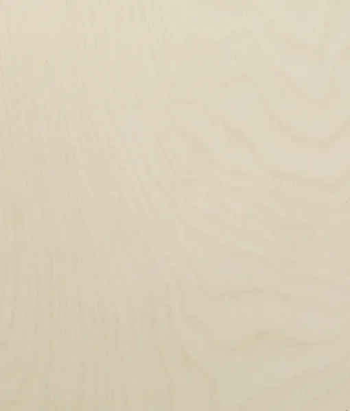 Bjo¦êrk lackad natur