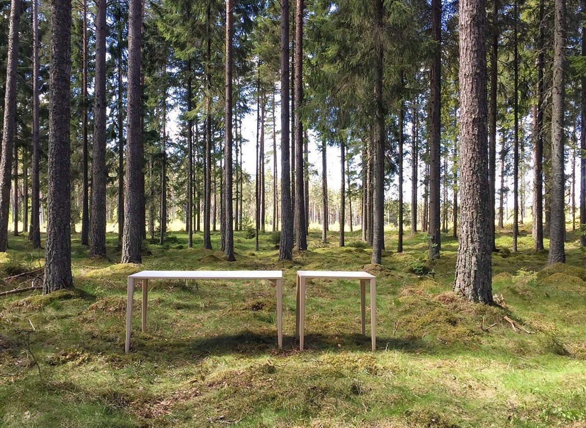 Skogsbilder 3 2015