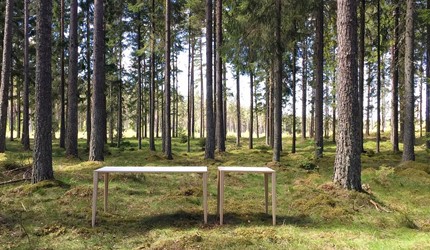 Skogsbilder 3 2015