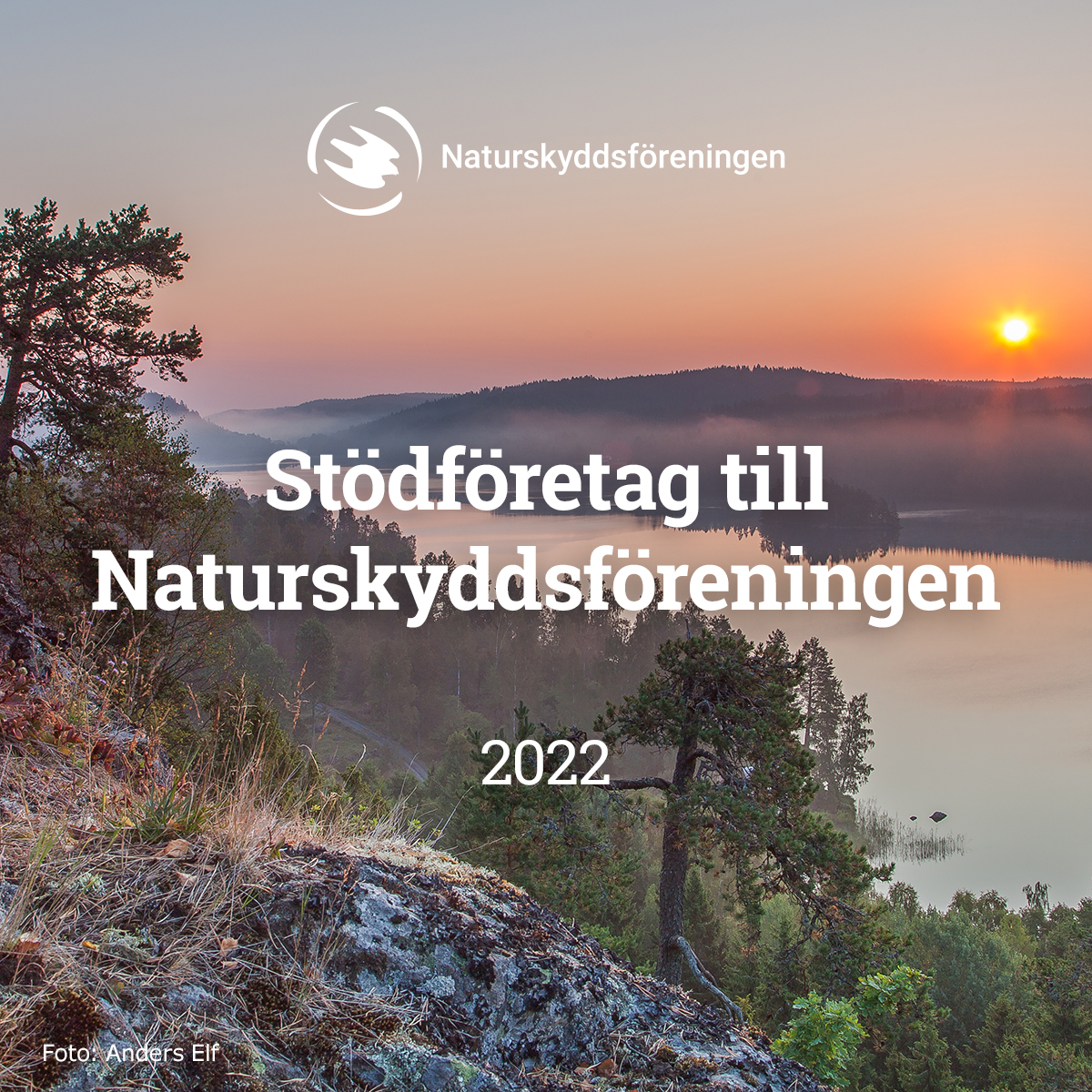 Naturskyddsforeningen_delningsbild_sociala_medier_2022